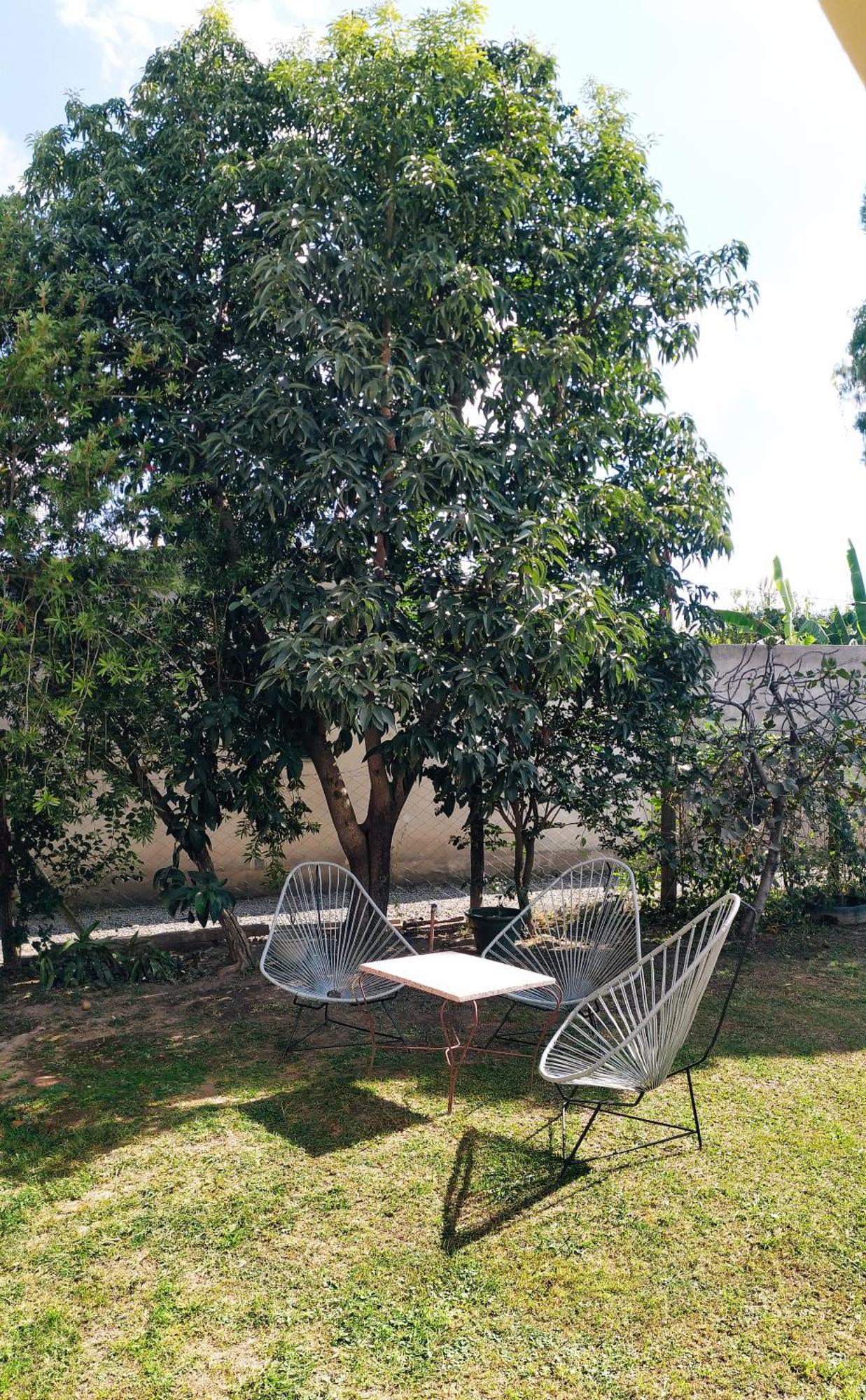 Punadito De Descanso Salta Exterior foto